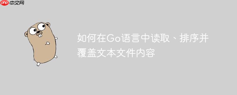 如何在Go语言中读取、排序并覆盖文本文件内容
