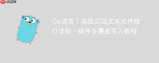 Go语言：高效实现文本文件按行读取、排序与覆盖写入教程
