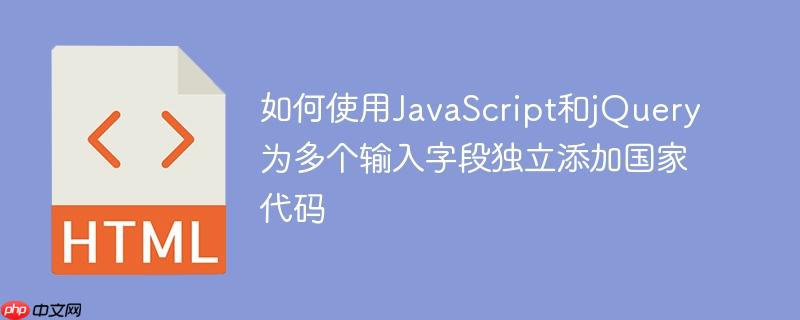 如何使用JavaScript和jQuery为多个输入字段独立添加国家代码-小浪学习网