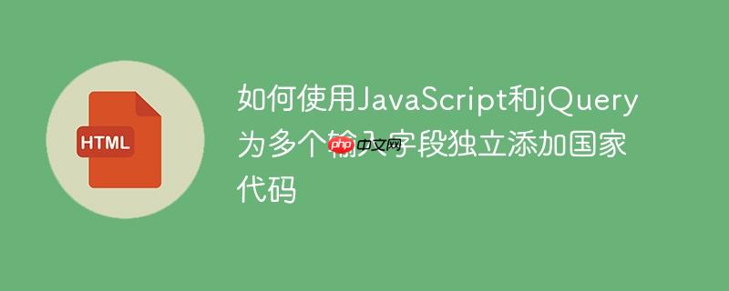 如何使用JavaScript和jQuery为多个输入字段独立添加国家代码