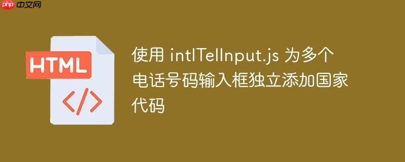使用 intlTelInput.js 为多个电话号码输入框独立添加国家代码