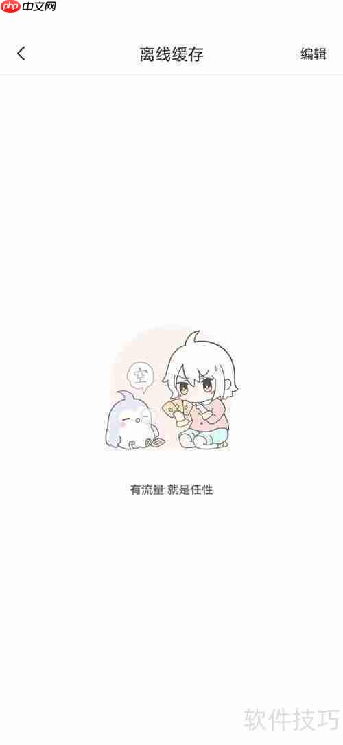 飒漫画缓存查看方法