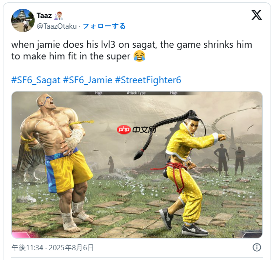 玩家分享《街霸6》沙加特对阵杰米时错觉 沙加特大长腿萎缩了