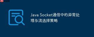 Java Socket通信中的异常处理与流选择策略