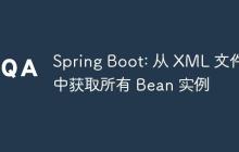 Spring Boot: 从 XML 文件中获取所有 Bean 实例
