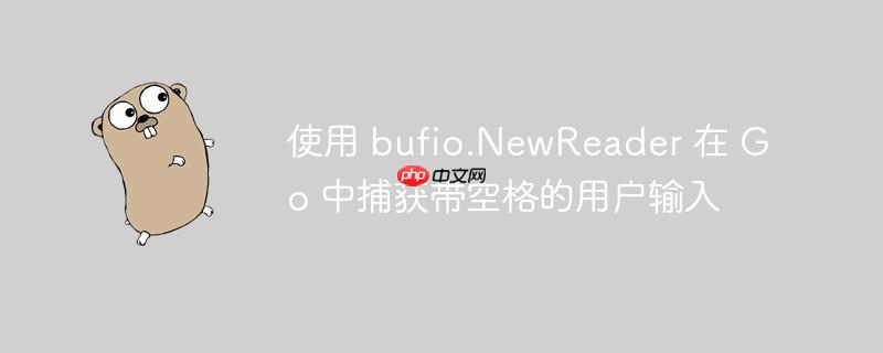 使用 bufio.newreader 在 go 中捕获带空格的用户输入