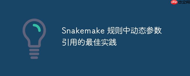 Snakemake 规则中动态参数引用的最佳实践