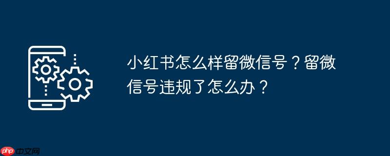 小红书怎么样留微信号？留微信号违规了怎么办？