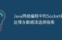 Java網(wǎng)絡(luò)編程中的Socket異常處理與數(shù)據(jù)流選擇指南