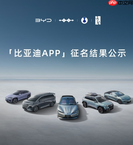 比亚迪app命名投票现反转 “成就梦想”当选却遭弃用