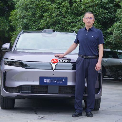 岚图汽车CEO卢放谈当前汽车测评:不能成为营销和表演