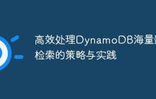 高效处理DynamoDB海量数据检索的策略与实践