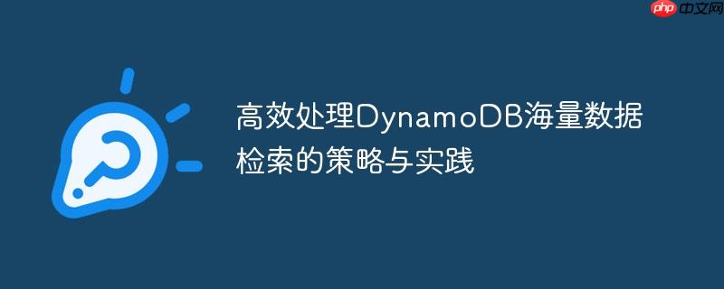 高效处理DynamoDB海量数据检索的策略与实践
