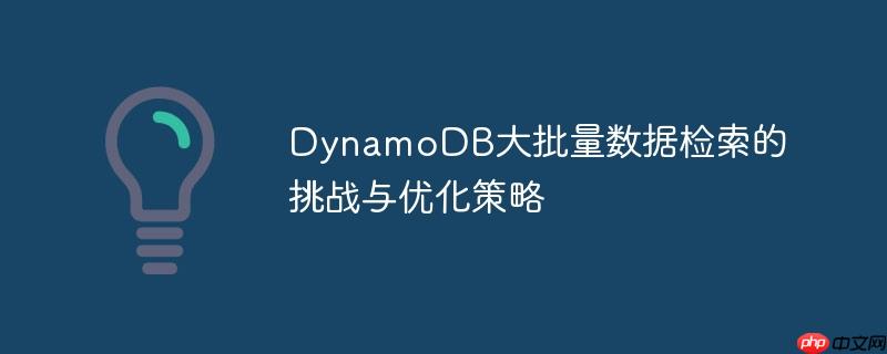 DynamoDB大批量数据检索的挑战与优化策略-小浪学习网