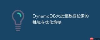 dynamodb大批量数据检索的挑战与优化策略