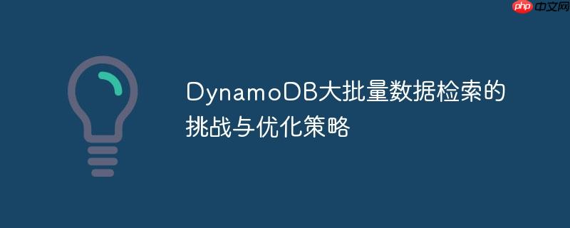 DynamoDB大批量数据检索的挑战与优化策略