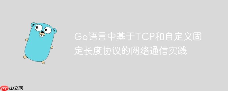 Go语言中基于TCP和自定义固定长度协议的网络通信实践