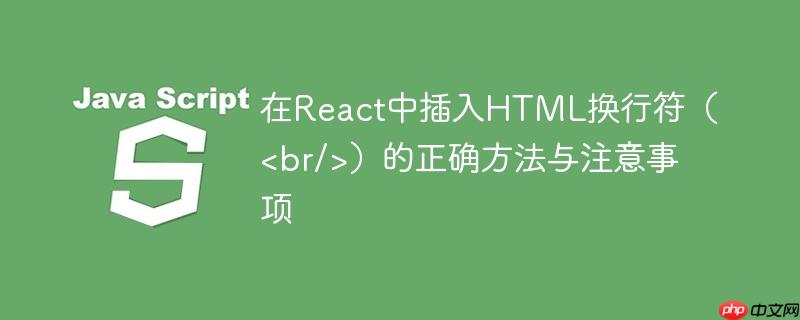 在React中插入HTML换行符（<br/>）的正确方法与注意事项
