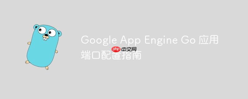 Google App Engine Go 应用端口配置指南
