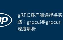 gRPC客户端选择与实践:grpcui与grpcurl深度解析