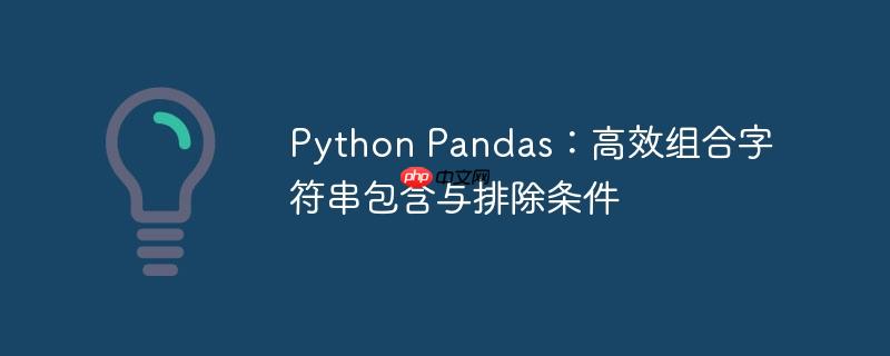 python pandas：高效组合字符串包含与排除条件