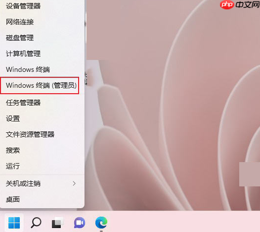 win11系统怎么打开命令提示符