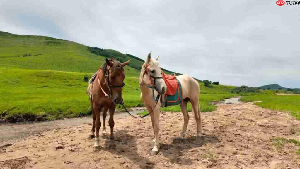  无线投！大视野！上瘾了！飞利浦无线投屏显示器 27B2W5600