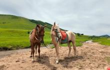 无线投！大视野！上瘾了！飞利浦无线投屏显示器 27B2W5600