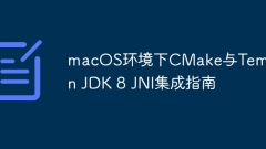 Guide to Integration of CMake and Temurin JDK 8 in macOS Environment