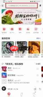 网易云音乐如何查看一首歌的播放次数
