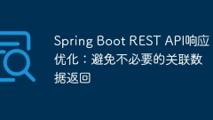 Spring Boot REST API Response Optimization: Avoid unnecessary relevance of data