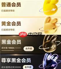 如何获得美团黑钻会员