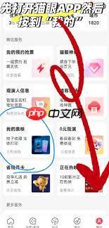 猫眼app票夹位置在哪