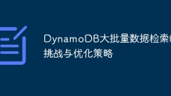 Challenges and optimization strategies for large-batch data retrieval of DynamoDB