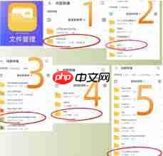 哪些应用软件可以用迅雷打开文件
