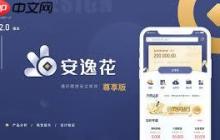 安逸花有额度综合评分不足如何解决