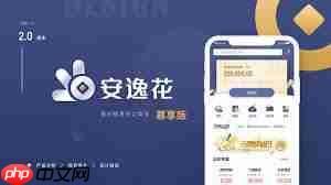 安逸花有额度综合评分不足如何解决