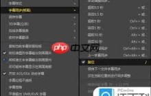 PotPlayer如何实现同步字幕