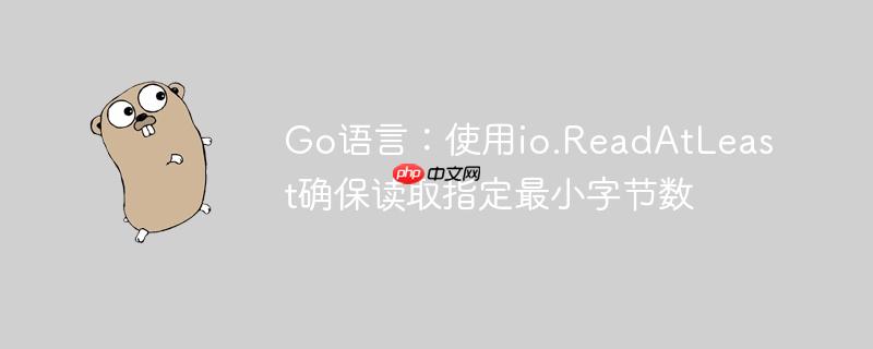 Go语言:使用io.ReadAtLeast确保读取指定最小字节数