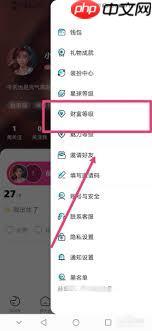 赫兹app如何开启财富等级