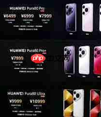 华为Pura80什么时候上市