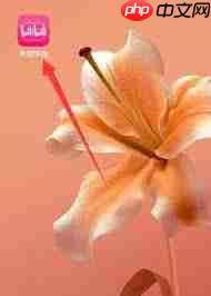 b站签到位置在哪