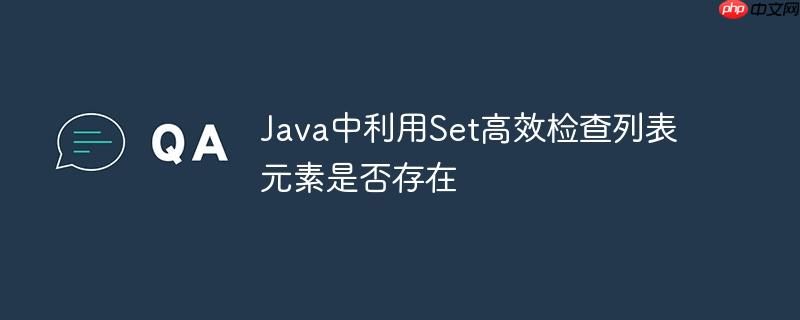 java中利用set高效检查列表元素是否存在