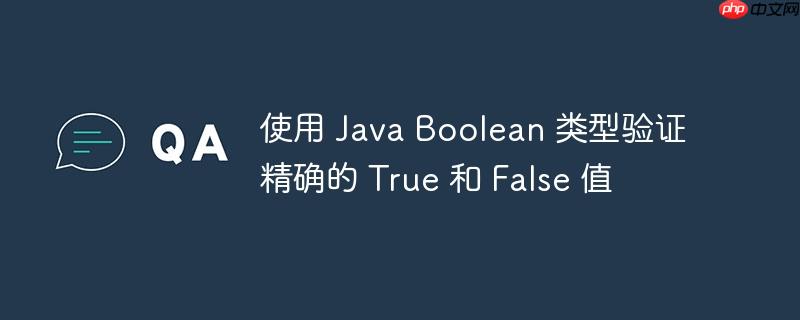 使用 Java Boolean 类型验证精确的 True 和 False 值-小浪学习网