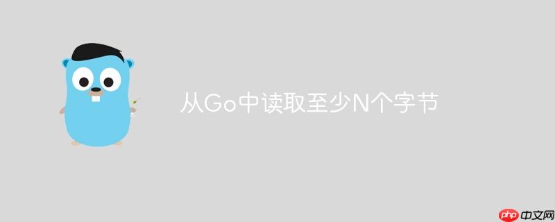 从go中读取至少n个字节