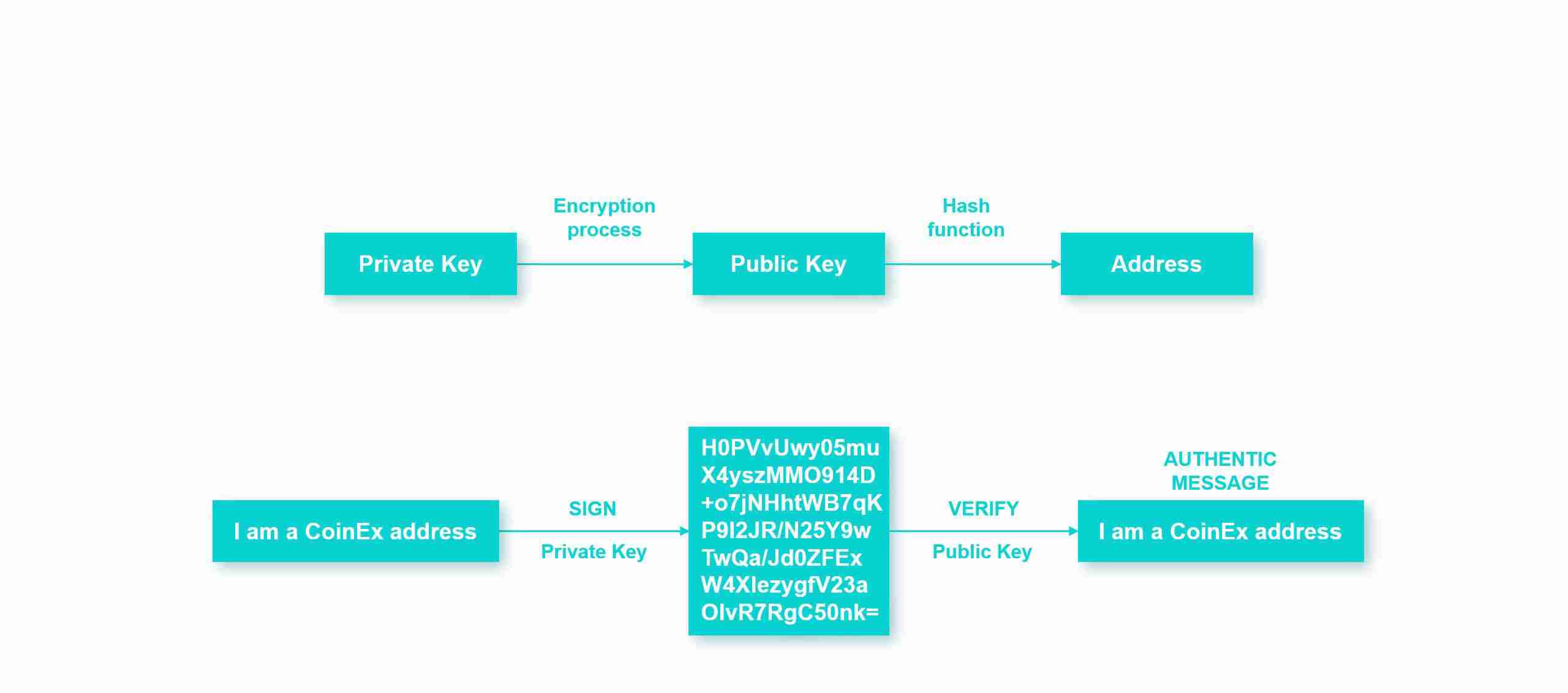 什么是储备证明?为什么它很重要?储备证明如何保证资产安全和透明?