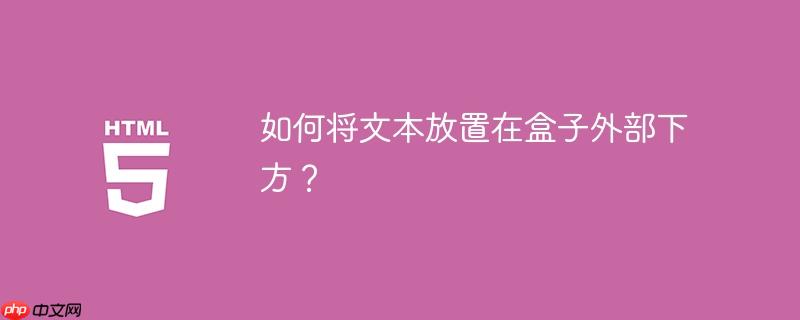 如何将文本放置在盒子外部下方？