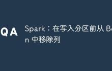 Spark：在寫入分區(qū)前從 Bean 中移除列