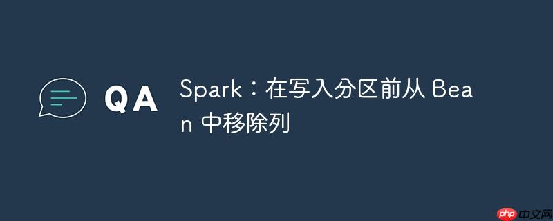 Spark：在写入分区前从 Bean 中移除列-小浪学习网
