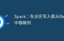 Spark：在分區(qū)寫入前從Bean中移除列